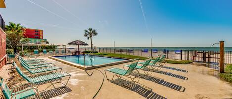 A pool area with lounge chairs and a palm tree.