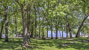 A park with trees and a path.