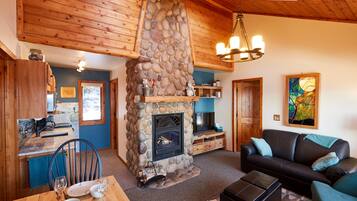 TV, fireplace, DVD player, books
