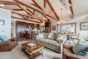 Smart TV, fireplace, DVD player, books