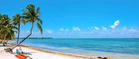 بالقرب من الشاطئ، كراسي للتشمس، مناشف للشاطئ