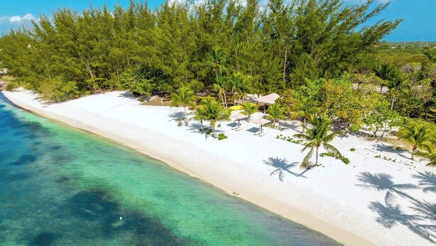 A beach with clear turquoise water, white sand, and lush greenery including palm trees.