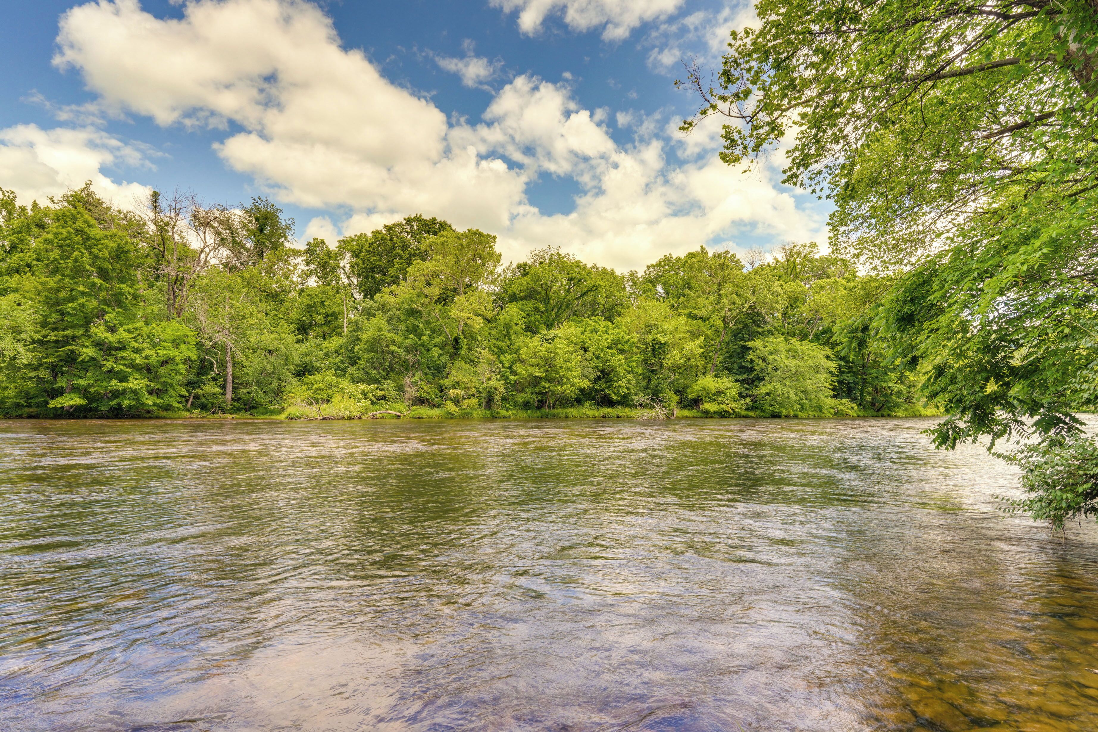 A river surrounded by dense green foliage under a partly cloudy sky.