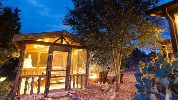Uma cabana rústica de madeira com porta de vidro, cercada por árvores e um jardim de cactos.