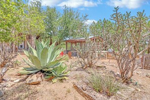 A desert landscape with a large agave plant, sparse vegetation, and a rustic building with a porch.