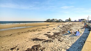 En strand med en sandstrand, lite tång och byggnader i bakgrunden.