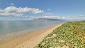 A beach with clear water, a sandy shore, and green vegetation.