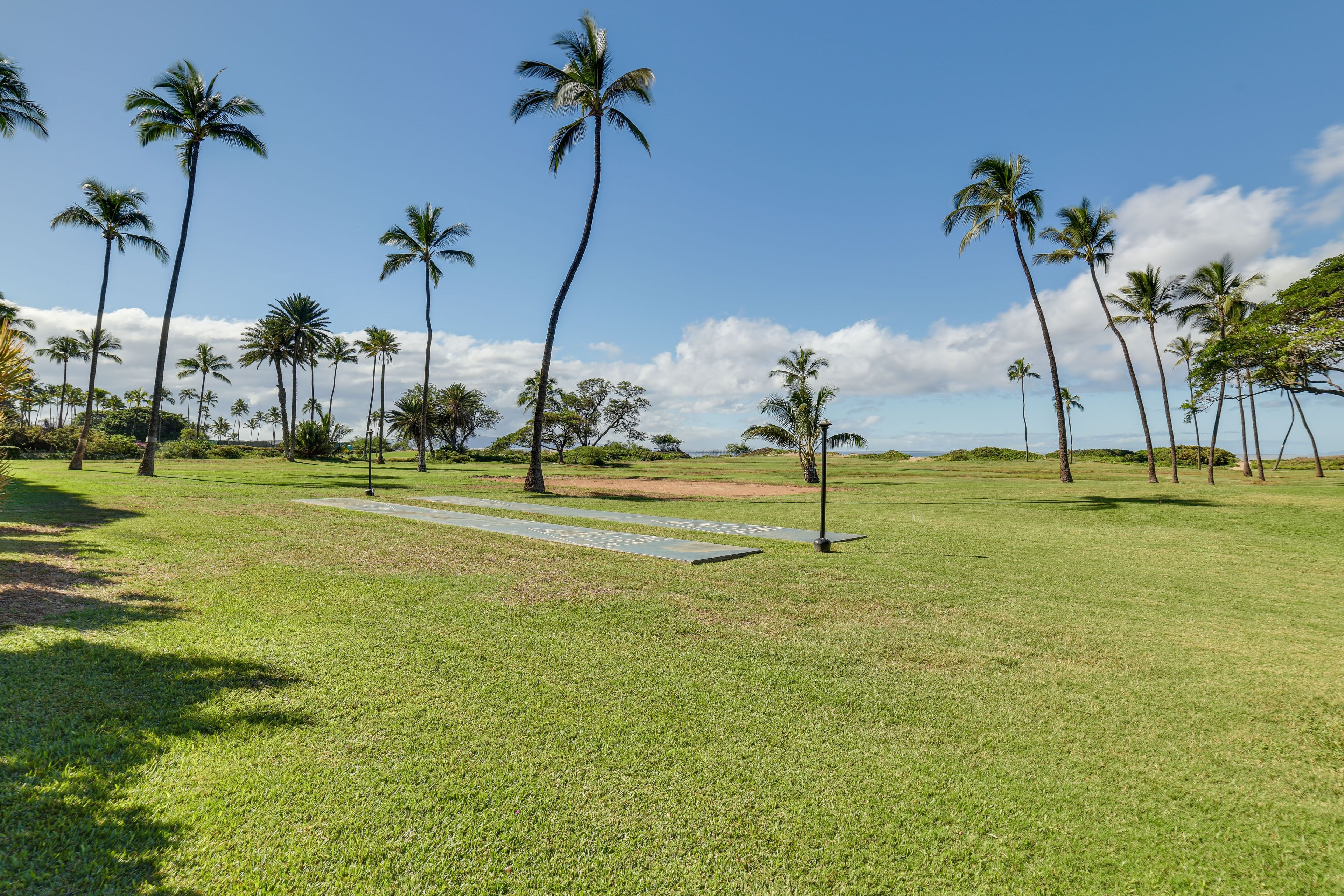 A grassy area with palm trees and a clear sky.