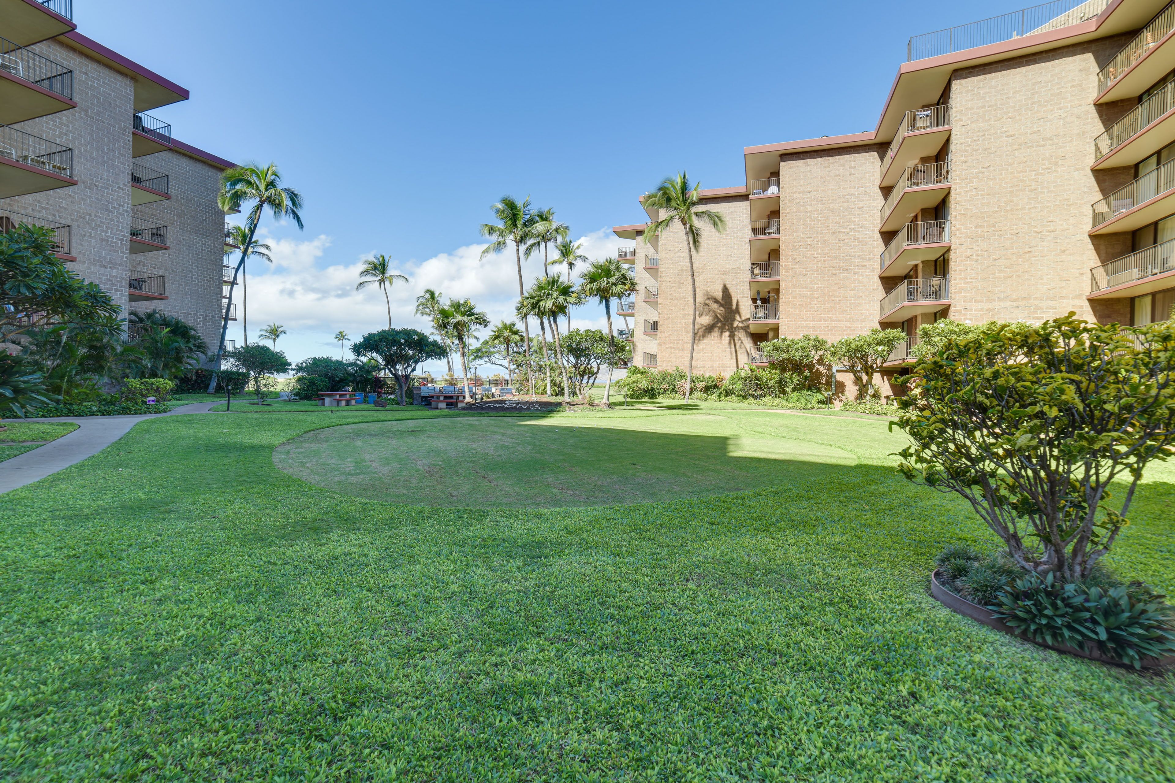 A courtyard with a well-maintained lawn, palm trees, and a brick building with balconies.