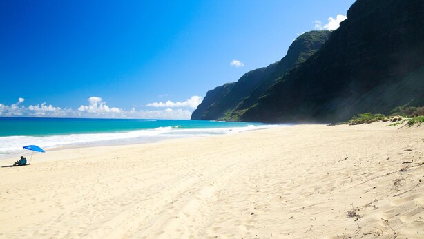 A beach with a clear blue sky, a sandy shore, and a person sitting under a blue umbrella.