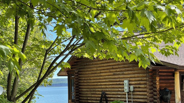 A log cabin with a view of a lake, surrounded by greenery.