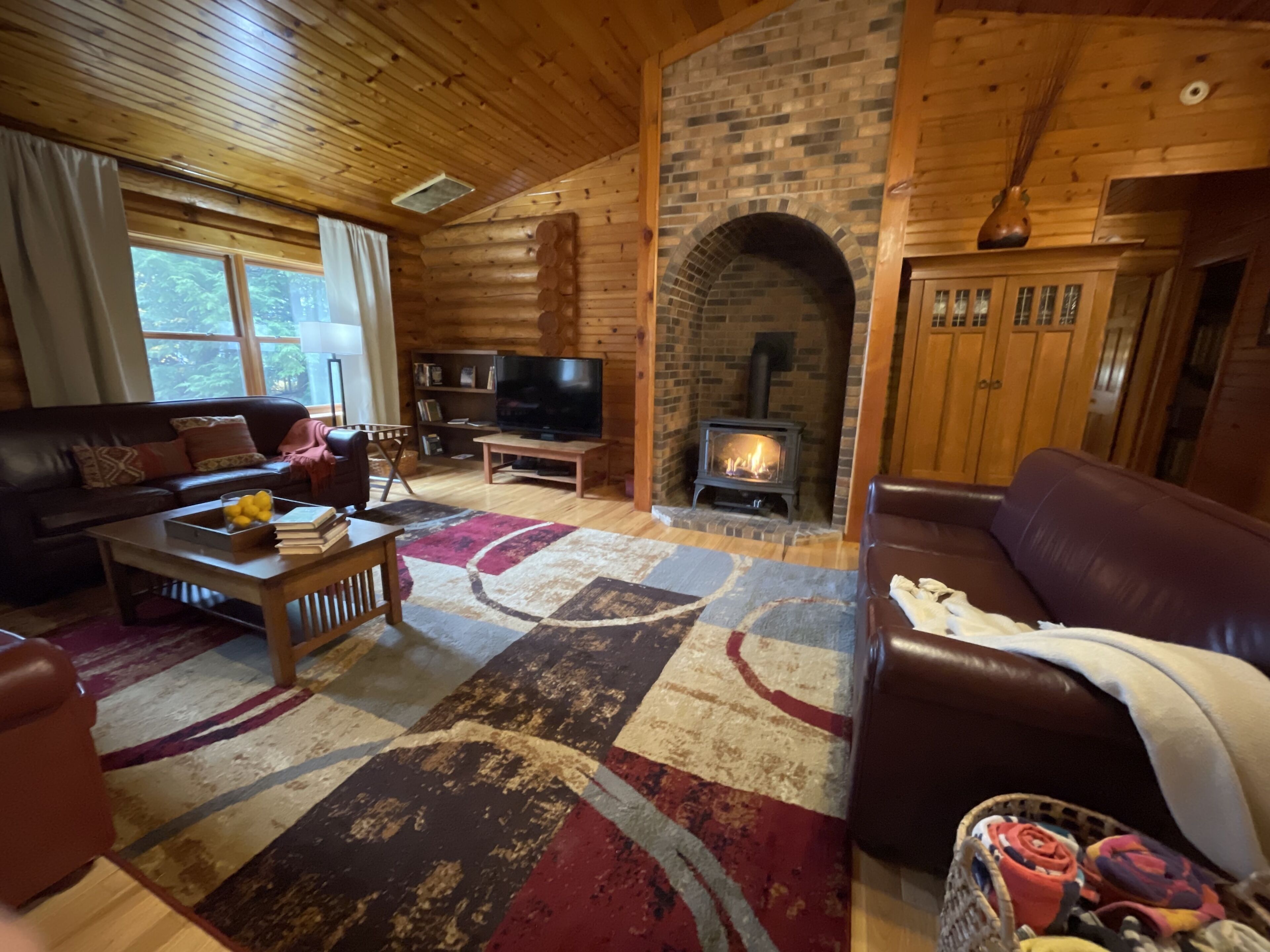 TV, fireplace, DVD player, video library