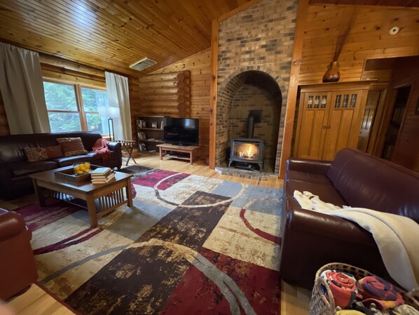 Fernseher, Kamin, DVD-Player, Videothek