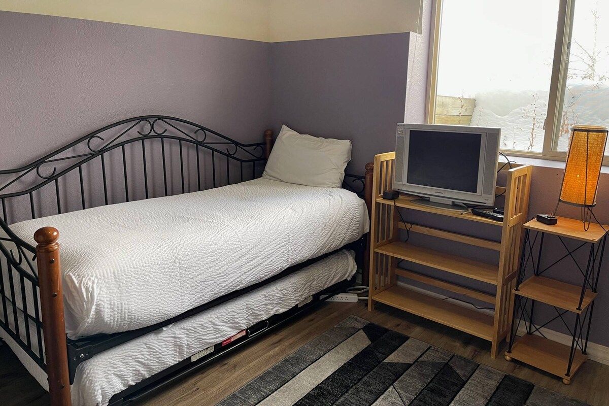 A single bed with a headboard, a television on a wooden stand, and a window with a view of a snowy landscape.