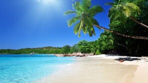 Playa en los alrededores 