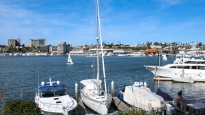 A marina with several boats docked, a sailboat in the water, and a cityscape in the background. - Spacious lower oceanfront located within walking distance of the Balboa Pier fun (Newport Beach)