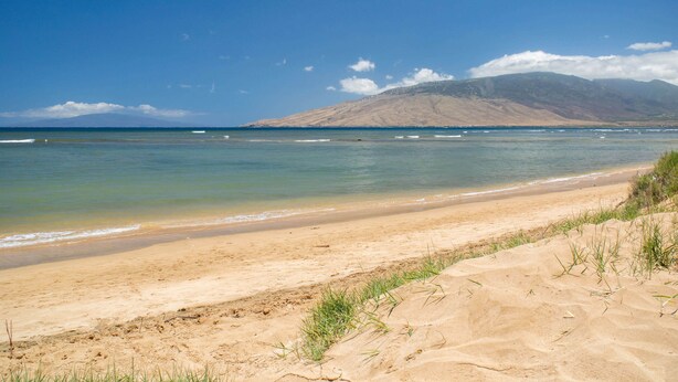 Playa
