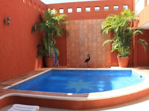 Relax by the pool surrounded by lush greenery and a serene atmosphere.