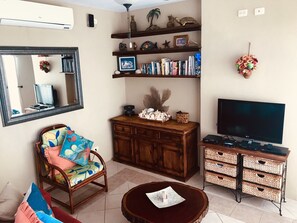 Téléviseur, lecteur de DVD, livres, sélection de films
