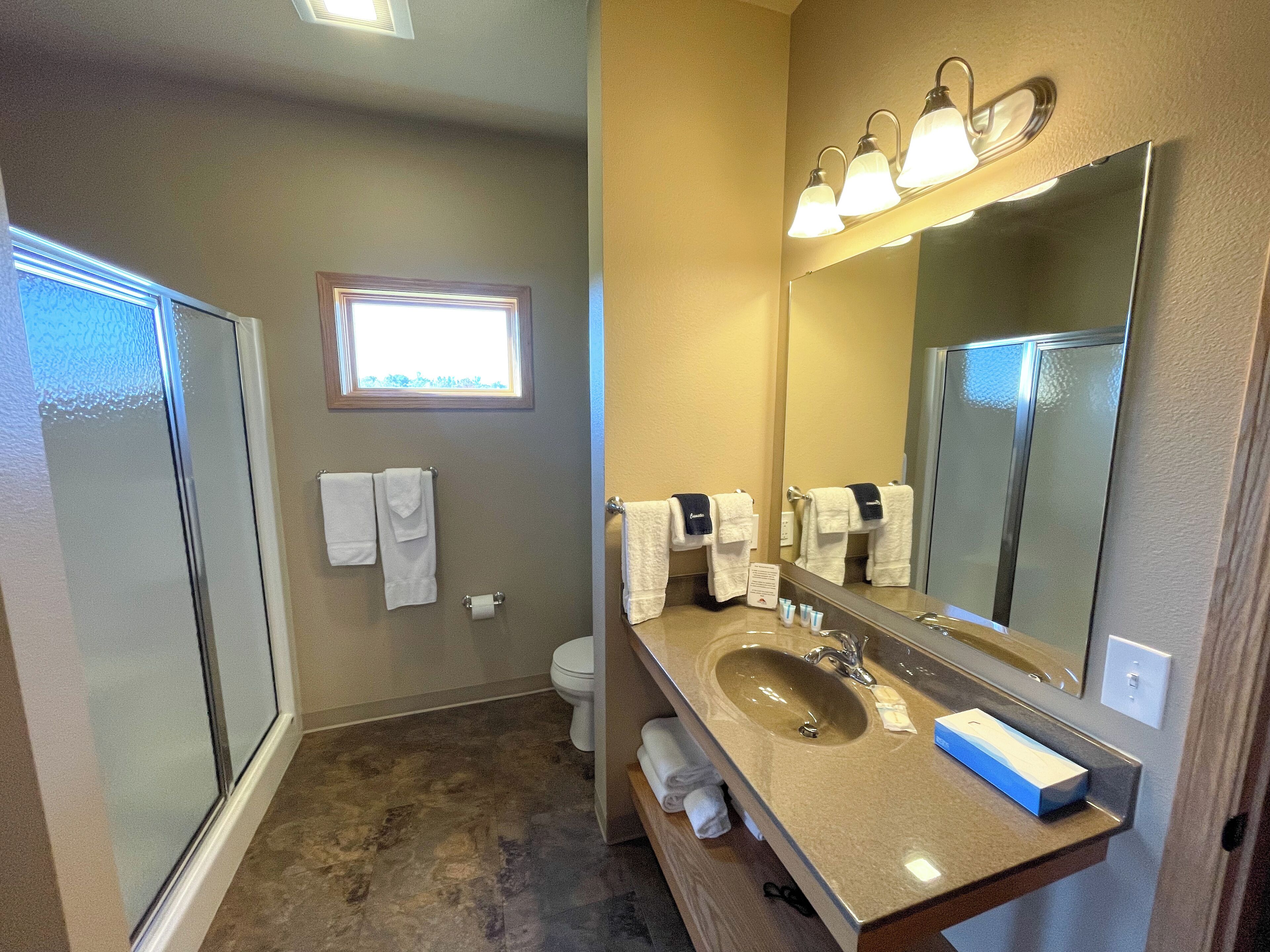 Combined shower/tub, hair dryer, towels