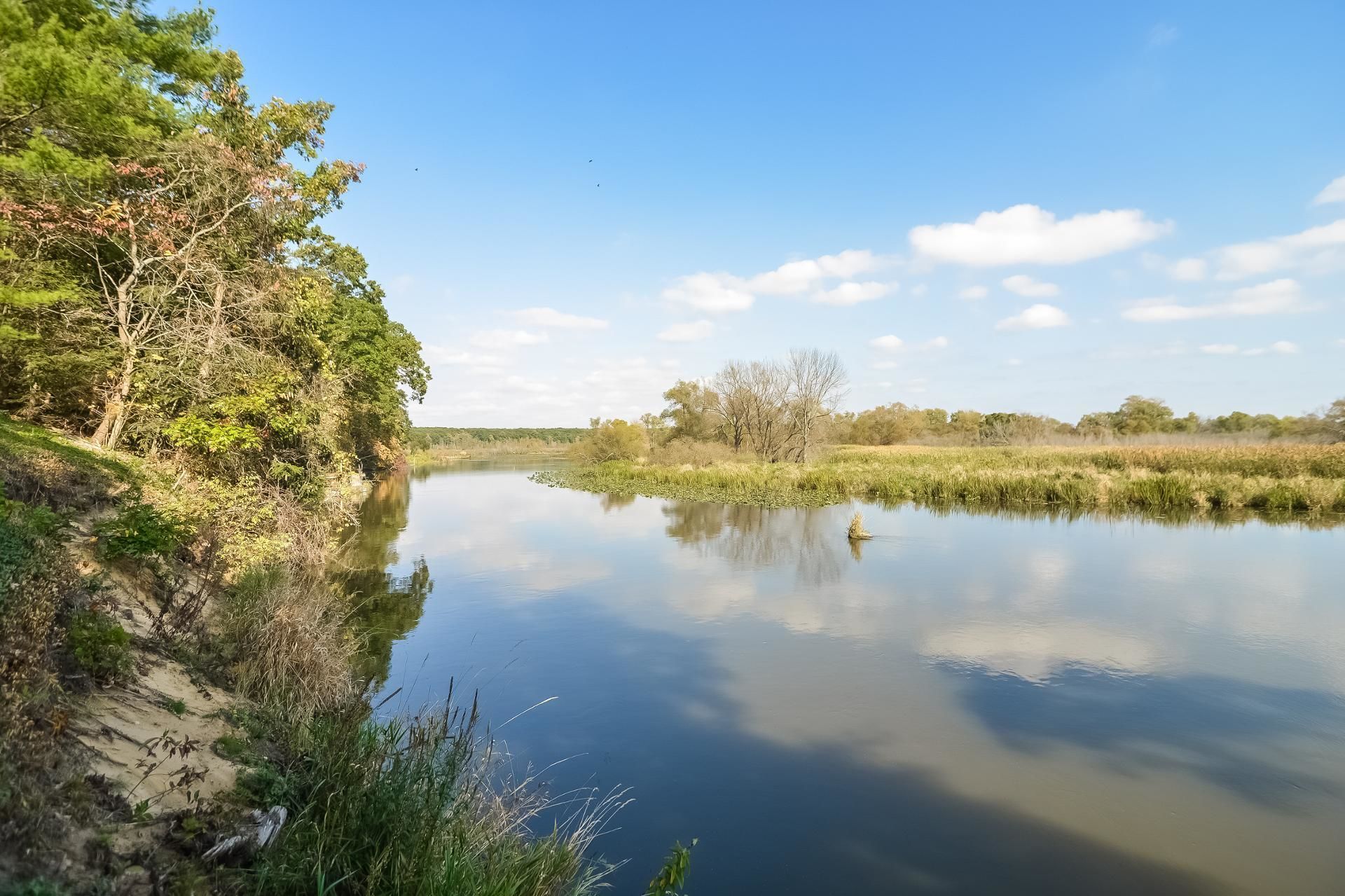 Cottage, 2 Bedrooms, Fireplace, River View | View from room