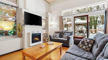 TV, fireplace, books