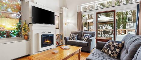 TV, fireplace, books
