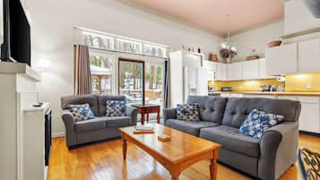 TV, fireplace, books