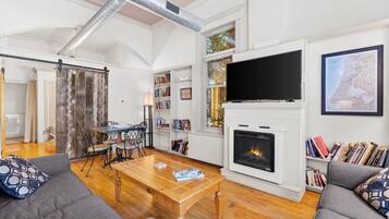 TV, fireplace, books