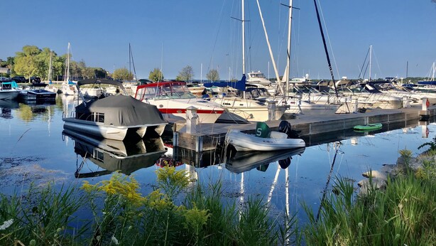 En lysthavn med forskellige både i havnen, stille vand og grønt i forgrunden.
