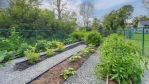 Un jardin avec des plates-bandes surélevées et une clôture verte.
