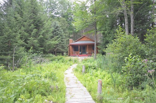 Waterfront log home on Lake Bellaire. Pet friendly. Fireplace, dock. Dog ok