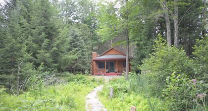 Waterfront log home on Lake Bellaire. Pet friendly. Fireplace, dock. Dog ok