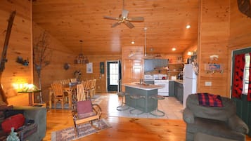 TV connectée, cheminée, Netflix, lecteur de DVD