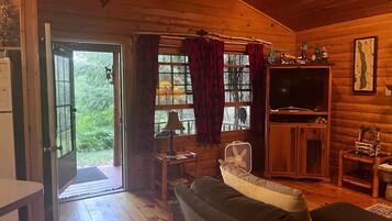 TV connectée, cheminée, Netflix, lecteur de DVD