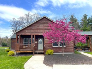 A wooden cabin with a porch, a front door, and a mailbox.