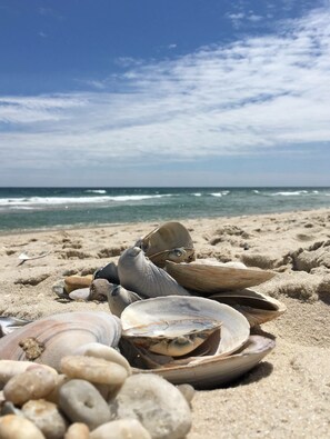 A beach with scattered seashells and a clear view of the ocean. - Beachy Lavallette Cottage w/ Outdoor Shower, Patio (Lavallette)