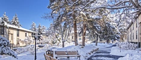 A snow-covered outdoor area with benches, a pathway, and trees.