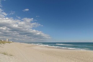 On the beach