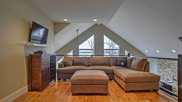 Télévision, cheminée, lecteur de DVD, livres