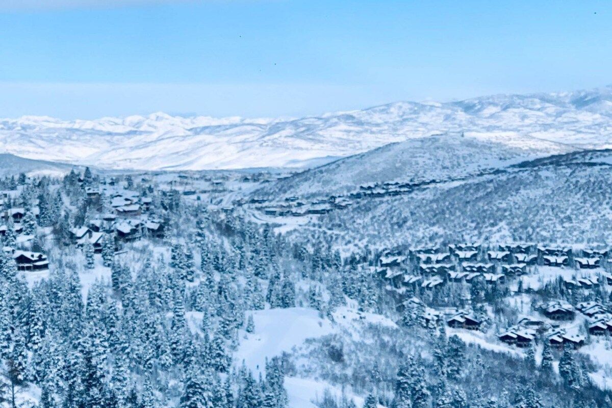 A snow-covered mountain village with traditional houses, dense forests, and a clear sky.