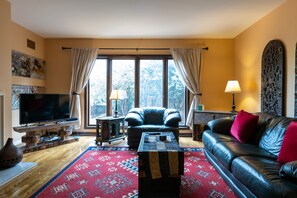 Smart TV, fireplace, books