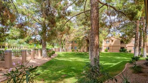Une cour avec une pelouse bien entretenue, des arbres et un bâtiment doté de nombreuses fenêtres et de balcons.