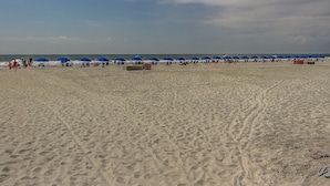Ein Strand mit Reihen von blauen Sonnenschirmen und Liegestühlen, ein sandiger Uferstreifen und das Meer im Hintergrund.