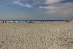 A beach with rows of blue umbrellas and beach chairs, sandy beach, and ocean in the background.