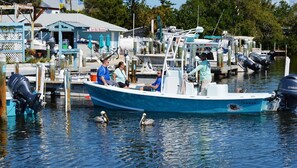A marina with boats docked, a jet ski rental sign, and a building with a sign that reads 'FELLOWS.'