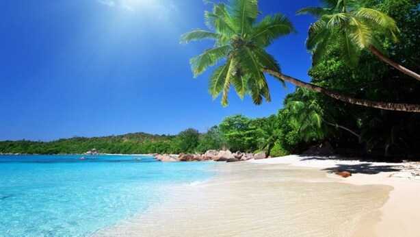 A beach with clear turquoise water, palm trees, and a sandy shore.