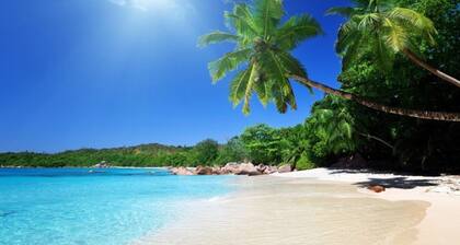 5 Star Charming Villa near West Palm Beach, West Palm Beach Villa 1115