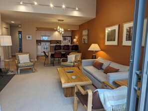 电视、壁炉、DVD 播放器