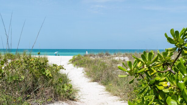 A beach path leading to the ocean with clear skies.